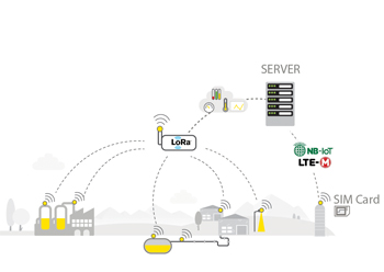 Smart sensors using the LoRa network or the NB-IoT/LTE-ME network to send data to a server